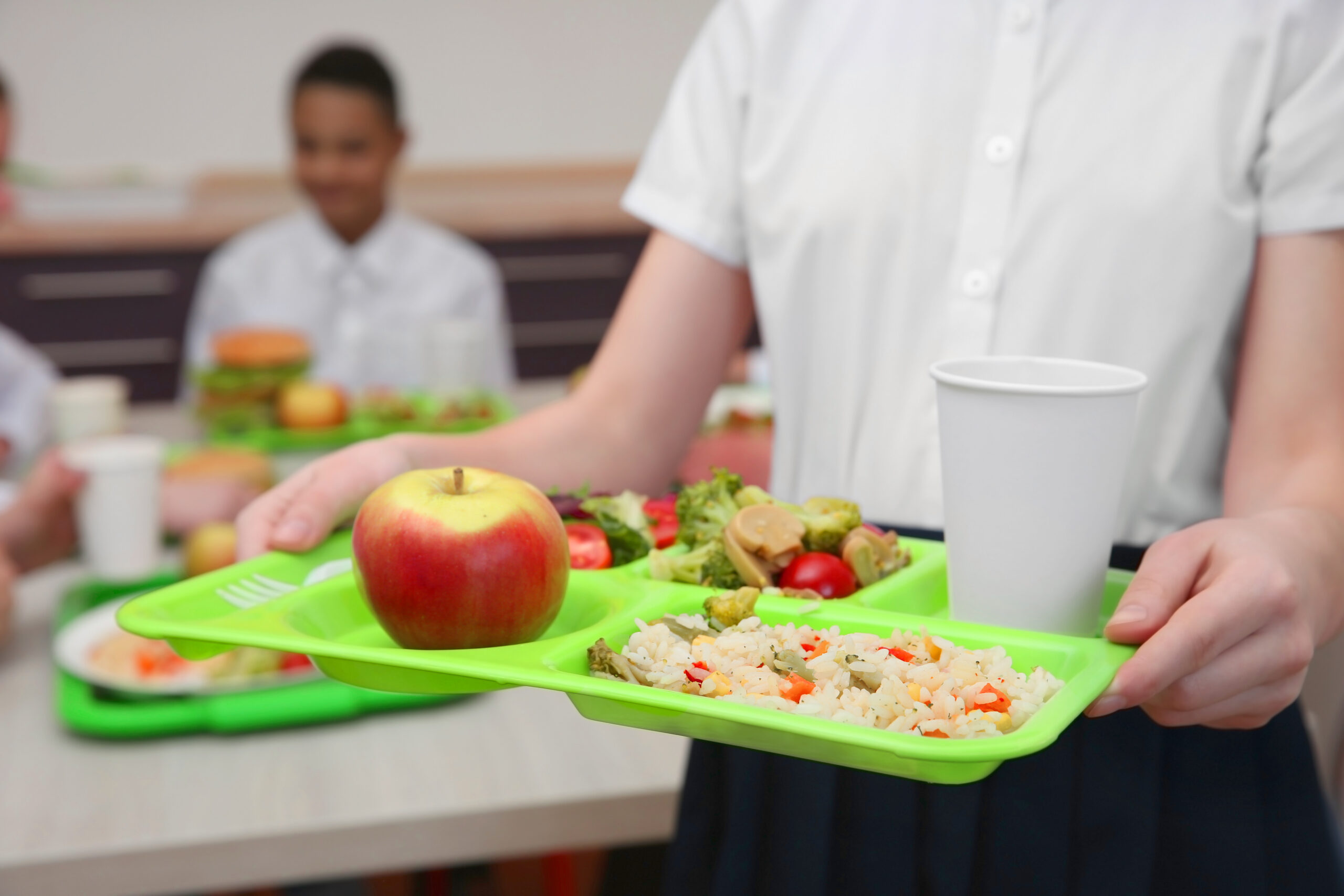 school meals lunch dinners