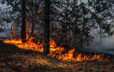 Global Warming Reportedly Costing £13 Million Per Hour In Damages