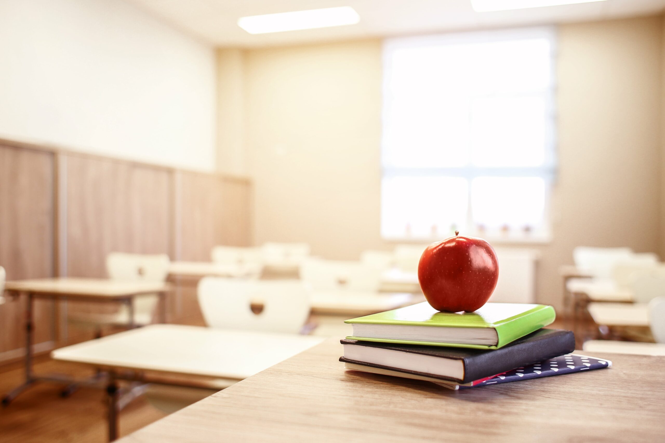 teacher