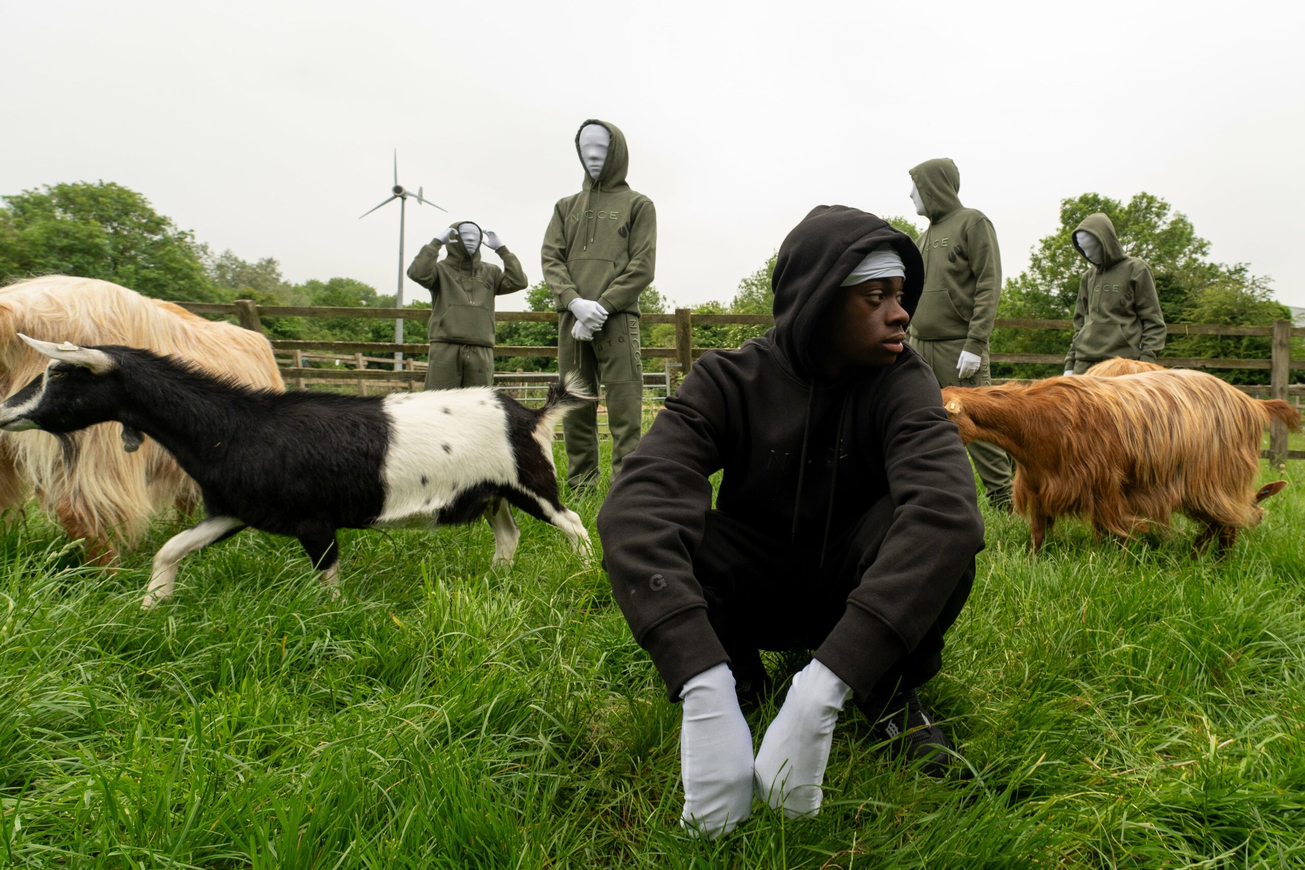 billy the goat nicce