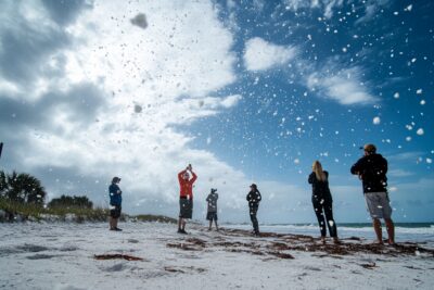 Over $1 million worth of cocaine blown onto beach by hurricane