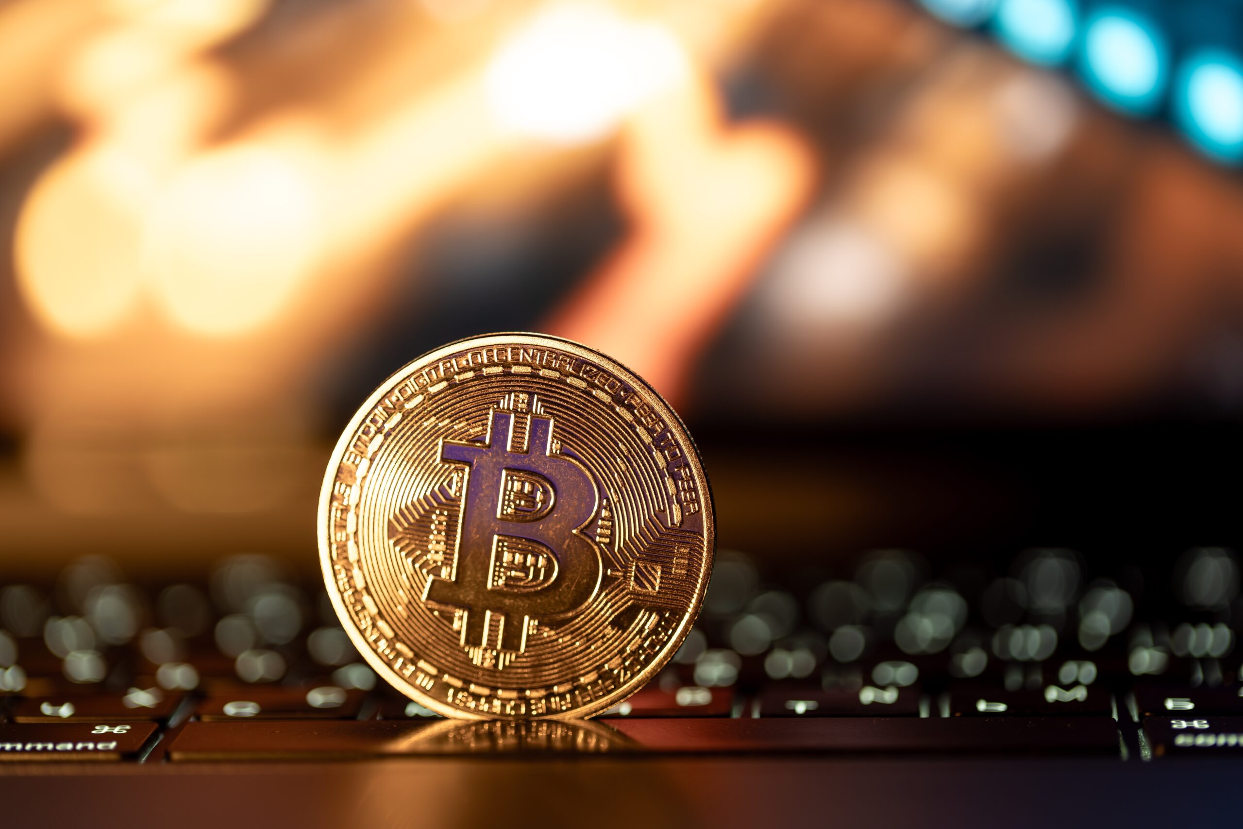 bitcoin girlfriend