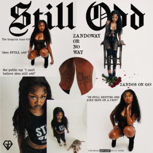 Teezandos Releases Debut Tape 'Still Odd'